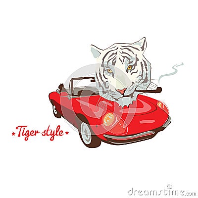 White wild smoking tiger retro red car driver Vector Illustration
