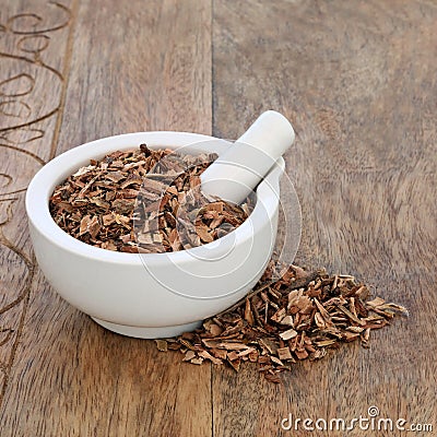 White Willow Bark Herb Stock Photo