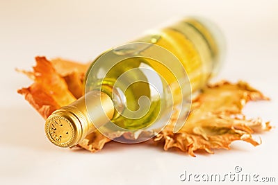 White wine bottle with autumn vine leaves Stock Photo