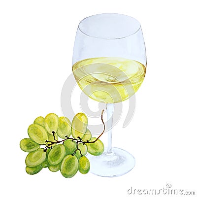 White wine in glas and grapes brush, watercolor, isolated Cartoon Illustration