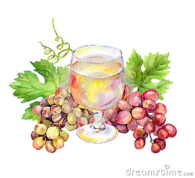 White wine glass, vine leaves and grape berries. Watercolor Stock Photo