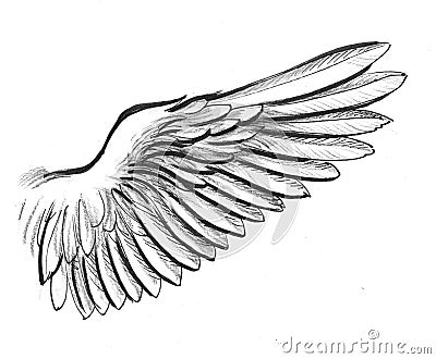 White wing Stock Photo