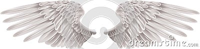 White Wings Vector Illustration