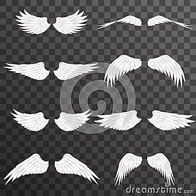 White wings bird animal angel fly 3d realistic design decoration element set transparent background vector illustration Vector Illustration