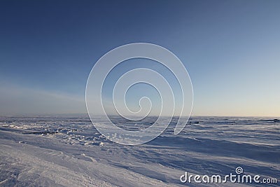 White winter arctic landscape with blowing snow on the ground a blue endless sky Stock Photo