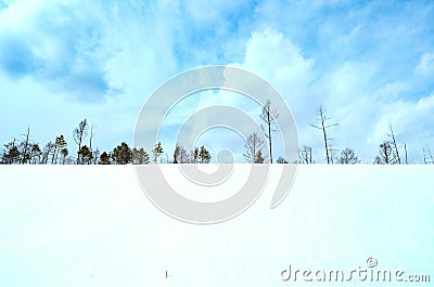 White winter landscape Stock Photo