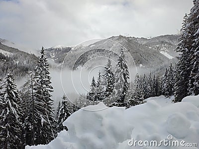 White winter , wonderful view to the Valley Stock Photo