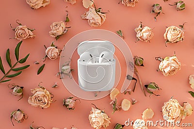 White wireless headphones in the case on playful pink background with delicate dried rose flowers. Beautiful sunlight and shadows, Stock Photo