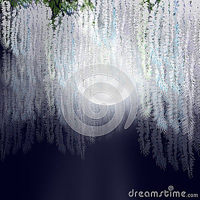 White wisteria flowerson moonlight night Stock Photo