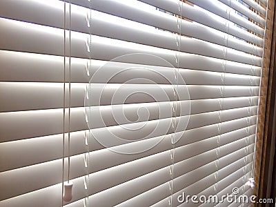 White Wood window blinds Stock Photo