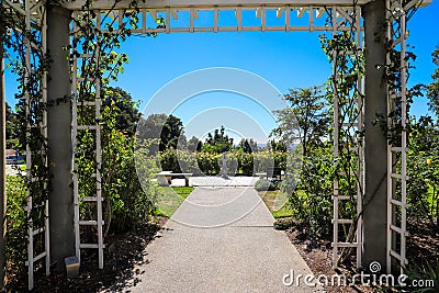 A white wooden awning in the garden covered with lush green plants and colorful flowers with a walk way leading to white flowers Stock Photo