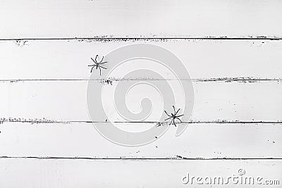 White wooden background with two spiders. Background for Halloween. Stock Photo