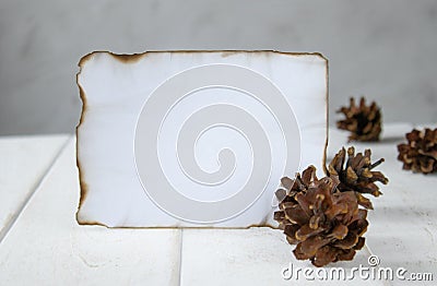 On white wooden boards, a sheet of paper burned along the edges, forest cones around the edges. Leaving space for text Stock Photo