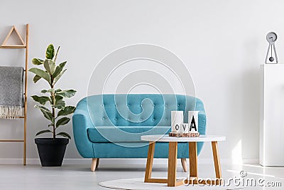 White wooden coffee table next to blue elegant couch in bright living room interior with plant in black pot and scandinavian Stock Photo