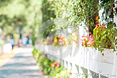White wooden fence with flowered pots along the sidewalk. Summer. Outdoor. Blurred Stock Photo