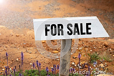 White wooden signpost with the word for sale Stock Photo