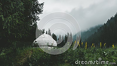 white yurt, a nomad house in a mountain forest meadow among grass and flowers in rainy and foggy weather Stock Photo