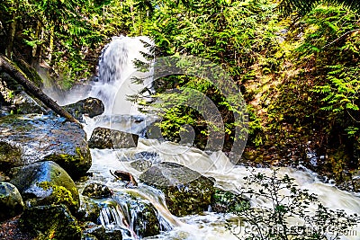 Whitecroft Falls, a waterfall on McGillivray Creek and a short hike from Sun Peaks Road near the town of Whitecroft Stock Photo