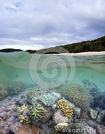 Whitehaven beach and living coral reef Stock Photo