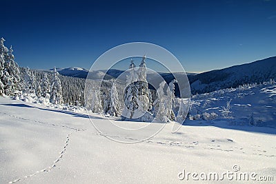 Whiteness in Giant Mountains / Karkonosze Stock Photo