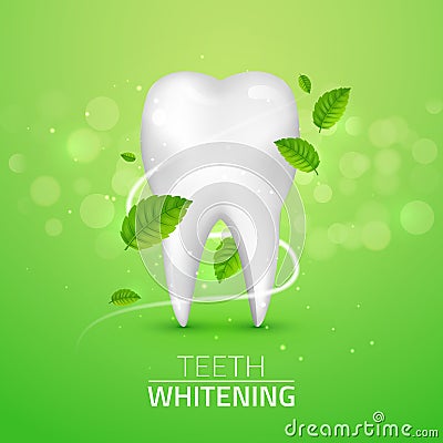 Whitening tooth ads, with mint leaves on green background. Green mint leaves clean fresh concept. Teeth health Vector Illustration