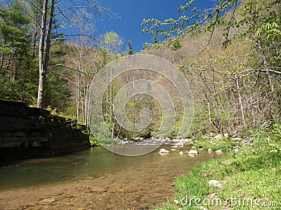 Whitetop Laurel Creek Stock Photo