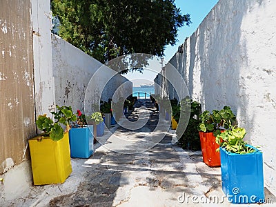 Whitewashed Ally With Colorful Planters Stock Photo