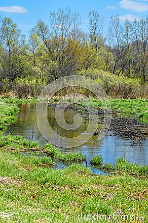 Whitewater Creek - Walworth County, Wisconsin Stock Photo