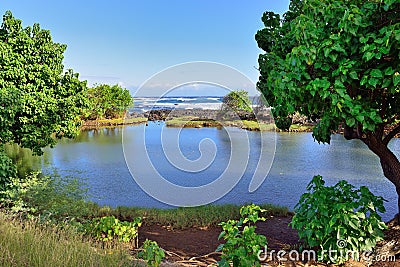 Whittington beach park in the Big Island of Hawaii Stock Photo