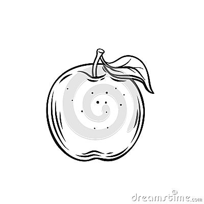 Whole apple line icon, hand drawn outline organic fresh one fruit with stick and leaf Vector Illustration