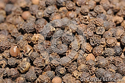 Whole Black Pepper Macro Stock Photo