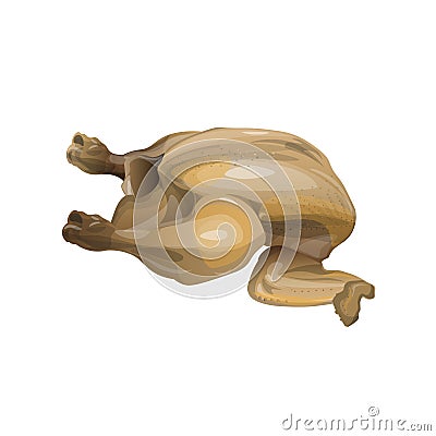 Whole boiled chicken Vector Illustration