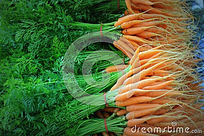 Carrots Stock Photo