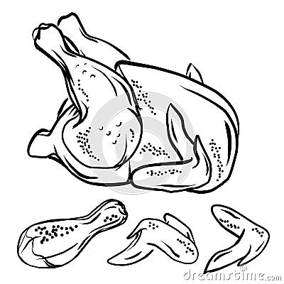 Whole chicken, chicken legs and wings, black outline. Grilled chicken. Part cutting of roasted and raw chicken, set Vector Illustration