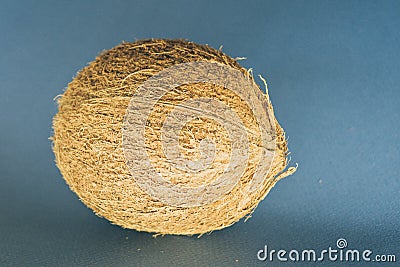 whole coconut lay on a dark blue background Stock Photo