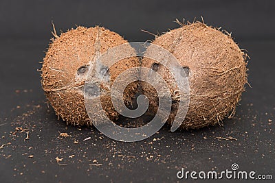 Whole coconuts. coconut fiber texture Stock Photo