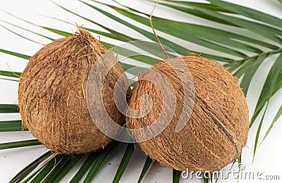 Whole coconuts on coconut leaves on white Stock Photo