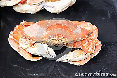 Whole cooked crab Stock Photo