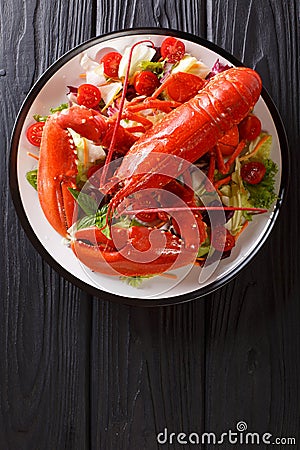 Whole cooked lobster served with vegetable salad close-up. Vertical top view Stock Photo