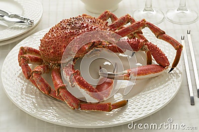 Whole cooked spider crab Stock Photo