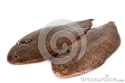 Whole couple fresh sole fish Stock Photo