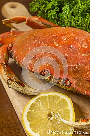Whole crab Stock Photo