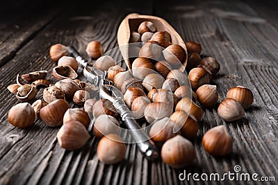Whole and cracked hazelnuts with a classic silver nutcracker Stock Photo