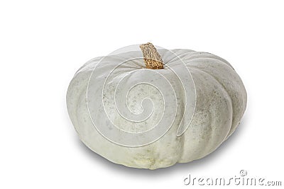 Whole Crown Prince pumpkin on white background Stock Photo