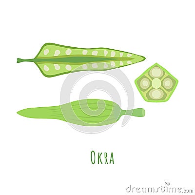 Whole and cutted parts of the okra isolated Vector Illustration