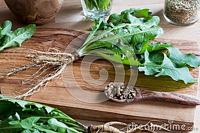 Whole dandelion plant with root on a wooden cutting board Stock Photo