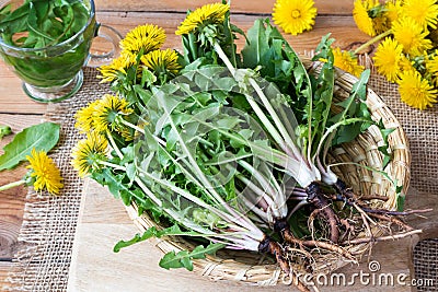 Whole dandelion plants with roots in a basket Stock Photo