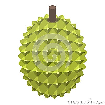 Whole durian icon, isometric style Vector Illustration