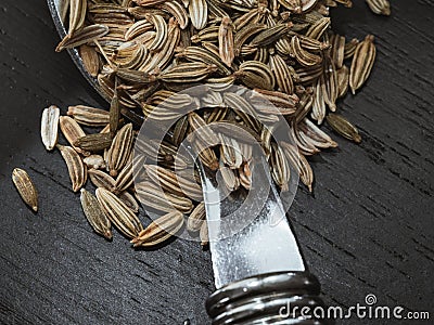 Whole fennel seeds piled on a silver spoon dark wooden background Stock Photo