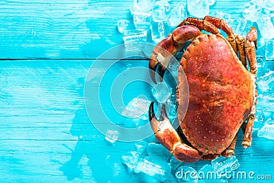 Whole fresh crab portrait Stock Photo